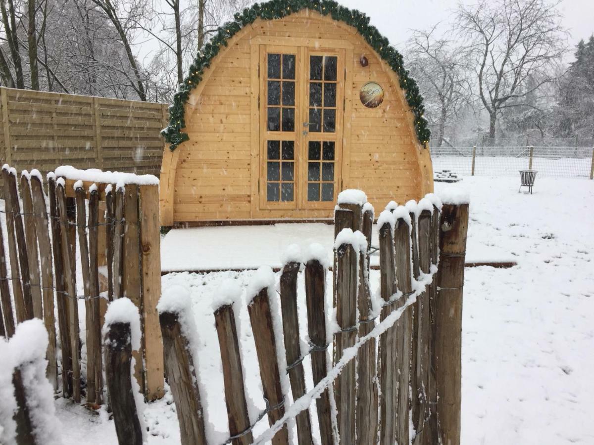 Het Koningshofje Bed and Breakfast NeerNeerpelt Εξωτερικό φωτογραφία