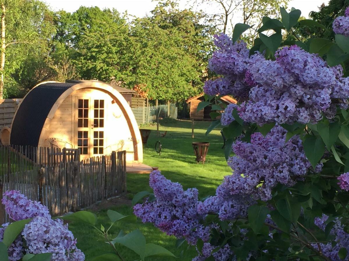 Het Koningshofje Bed and Breakfast NeerNeerpelt Εξωτερικό φωτογραφία