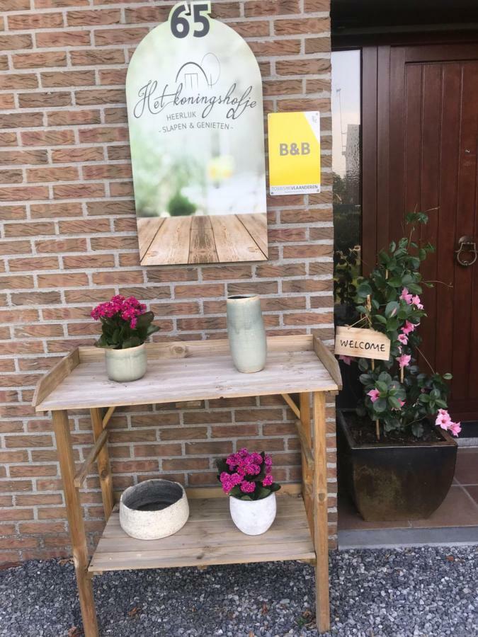 Het Koningshofje Bed and Breakfast NeerNeerpelt Εξωτερικό φωτογραφία